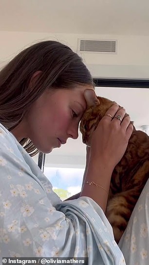 Модель из Голд-Коста рассказала, что ее бенгальского кота «похитили» в субботу, 27 апреля.
