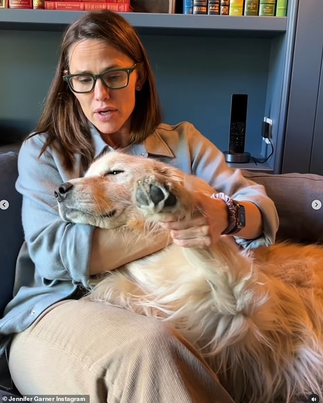 Аффлек, который провел прошлый День Благодарения с Лопес, без сомнения, будет рядом, чтобы помочь утешить Гарнер, которая объявила душераздирающую новость о смерти ее девятилетнего золотистого ретривера Берди.