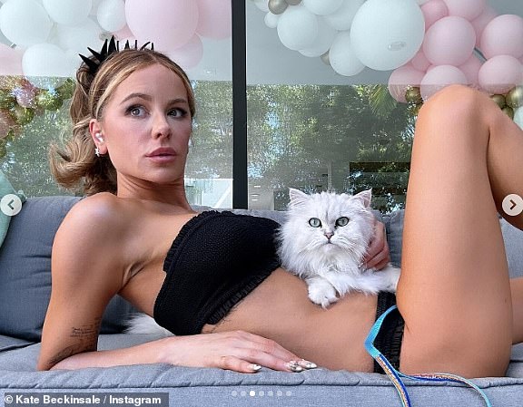 В воскресенье Кейт Беккинсейл попыталась сфотографироваться со своими котом и собакой, но у кошачьих были другие идеи.